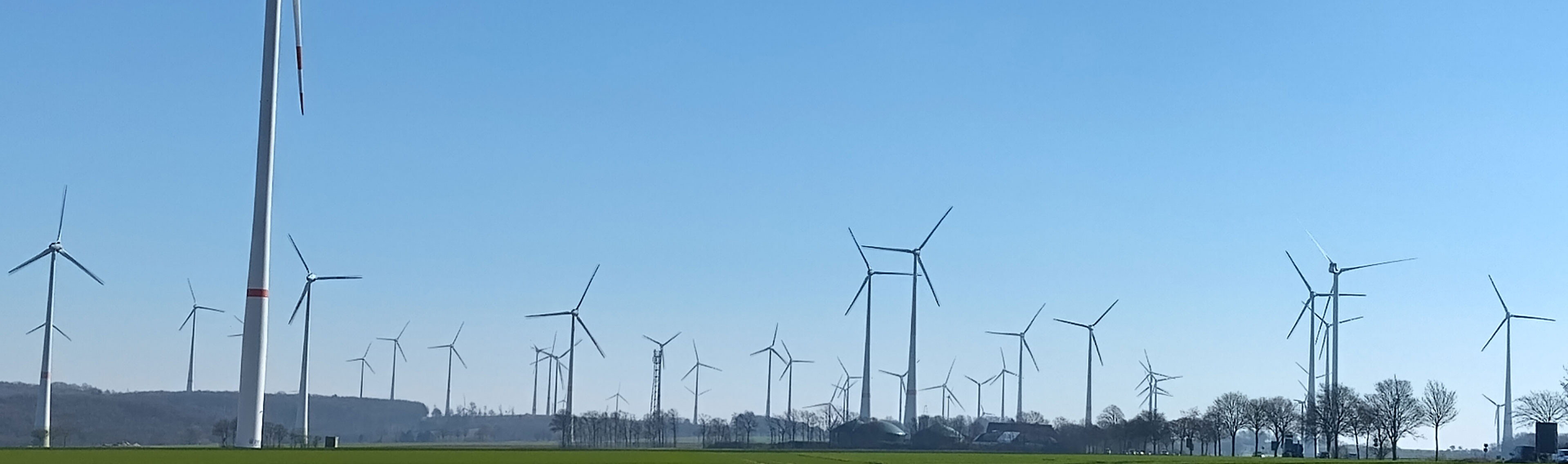 Windfarm mit extrem vielen Turbinen